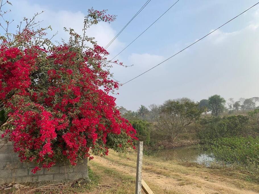 Sattva Farmstay Bangalore Extérieur photo